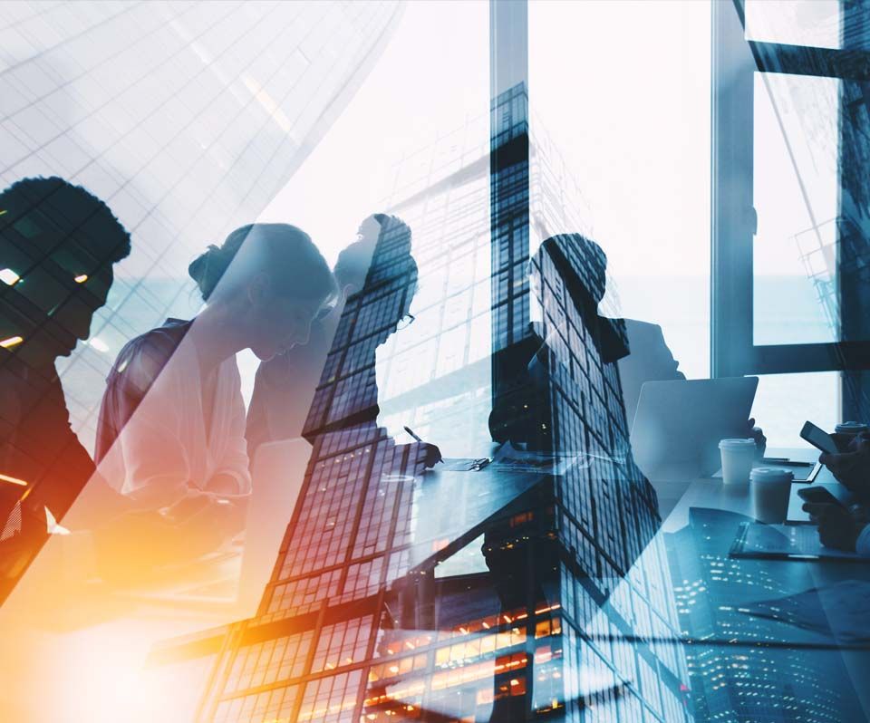 VibeWave Technologies Team